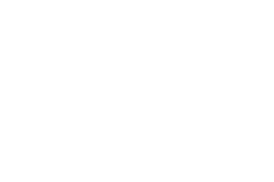 Logo_Toad Flips